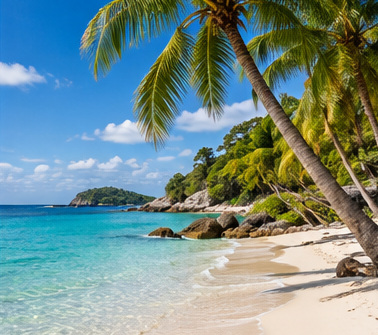Scenic travel photograph: tropical beach